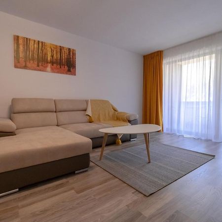 Transylvanian Apt. W/ Lrg. Terrace And Parking - Karpatenhaus Braşov Exterior foto